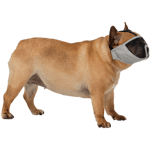 Munnkurv for raser med kort nese polyester Grey Small - Hund - Hundetrening & bruksspor - Munnkurver - Trixie