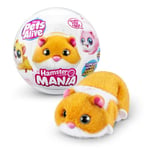 Pets Alive Hamster Mania by ZURU, Orange Hamster, Pet Nurture, Soft Toy, Real Alive, 20+ Sounds Interactive, Electronic Pet, Ages 3+ (Orange)