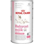Royal Canin Babycat milk (0.3kg)