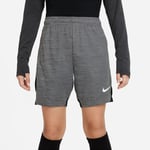 Nike Träningsshorts Dri-FIT Academy KZ - Grå/Svart/Vit Barn, storlek S: 128-137 cm