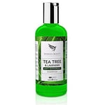 Tea Tree Oil Anti Dandruff Shampoo - [Made In UK] Therapeutic Grade | Antifungal