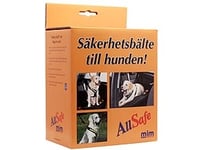 Bilsele Allsafe