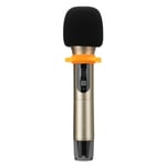 USB FM Karaoke Handheld Microphone KTV Professional Player PC Mic Speaker,Gold