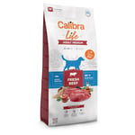 Calibra Life Adult Medium Breed med färskt nötkött - Ekonomipack: 2 x 12 kg