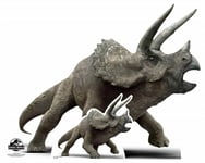 Official Jurassic World Triceratops Dinosaur Cardboard Cutout with FREE Mini