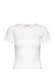 Rib Knit Short Sleeve Top Tops T-shirts & Tops Short-sleeved White A-View