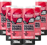 Original Source Rhubarb and Raspberry Shower Gel, 100 250 ml (Pack of 1) 