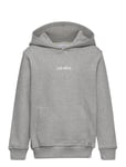 Lens Hoodie Kids Tops Sweat-shirts & Hoodies Hoodies Grey Les Deux