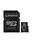 Canvas Select Plus microSD/SD - 100MB/s - 256GB
