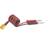MODELCRAFT Câble de Charge 58826 25.00 cm 2.5 mm²