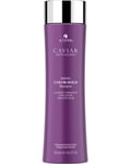 Alterna Caviar Infinite Color Hold Shampoo, 250ml