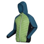Regatta Mens Hooded Soft Shell Jacket Padded Coat, Piquant Green/Moroccan Blue, XL EU