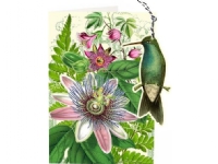 Madame Treacle B6-carnet och etikett med kuvert - Passiflora