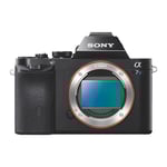 Sony Alpha a7S Mirrorless Digital Camera Body