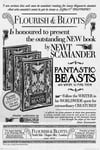 Fantastic Beasts 2 - Poster 61x91 - Flourish And Blotts