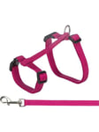 Trixie Cat harness with leash XXL 34-57 cm/13 mm 1.20 m - Assorted