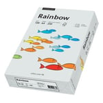 Kopieringspapper Rainbow light grey A4 120g