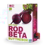 Rödbetsjuice Ekologisk BiB