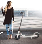 Dameng 8.5 Inch Electric Balance Scooter Adult Super Light Electric Scooter