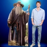 Star Cutouts Ltd Lord of the Rings Gandalf SC667 Star Cutouts Extended Trilogy Edition l Hobbit Merchandise l Gifts Figures, Solid