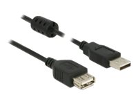 Delock - Usb-Förlängningskabel - Usb (Hane) Till Usb (Hona) - Usb 2.0 - 2 M - Svart