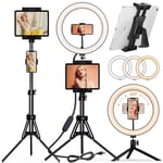 PEYOU 12" Selfie Ring Light with 73" Tripod Stand & 4 Phone Tablet Holders, Large LED Ring Light Tripod with Remote Shutter for Live Stream/Makeup/TiKTok/YouTube, Compatible with Camera iPhone iPad