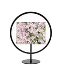 Umbra Infinity Picture Frame, Unique Circular Photo Frame For Desk or Wall, Black, 4X6\