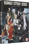 - Bungo Stray Dogs Sesong 3 DVD