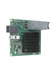 Lenovo Flex System CN4052S - nätverksadapter
