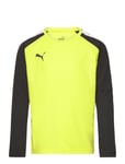 Teampacer Gk Ls Jersey Jr Sport T-shirts Football Shirts Yellow PUMA