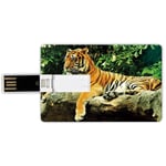 8G USB Flash Drives Credit Card Shape Tiger Memory Stick Bank Card Style Resting Feline in the Forest on a Large Rock Sublime Carnivore Beast Beautiful Nature,Multicolor Waterproof Pen Thumb Lovely J