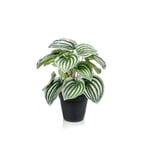 EMERALD Kunstig Plante Emerald Peperomia I Potte 25Cm