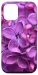 Coque pour iPhone 15 Pro Fleur lilas violet rose