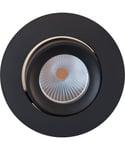 Idaho downlight med tilt, dimbar LED 2700K 500lm, Fire Rated IP65