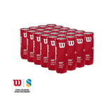 Wilson Performance Padel Ball X3 24 tuubia