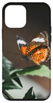 iPhone 12 mini Animal small tortoiseshell butterfly on a leaf Case