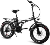 PARTAS Sightseeing/Commuting Tool - Folding Electric Bike,20 Inch Electric Bicycle With Dual Disc Brakes,48V/8Ah Removable Lithium-Ion Battery,Electric Bike Power Assist,250W Brushless Gear Motor