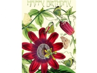 Madame Treacle Karnet B6 brokat z kopertą Urodziny Passiflora