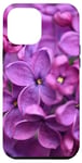 Coque pour iPhone 15 Pro Max Fleur lilas violet rose