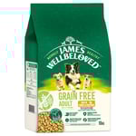 James Wellbeloved Grain Free Adult Dog Hypoallergenic Turkey & Vegetables - 10 kg