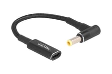 Delock - strømforsyningsadapter - 24 pin USB-C til DC jackstik 5,5 x 2,5 mm - 15 cm