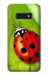 Ladybug Case Cover For Samsung Galaxy S10e