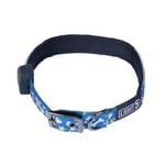 Hundhalsband Light5 Doggo Led Collar, Blue, S