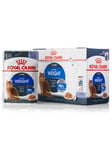 Royal Canin Light Weight Care (in jelly) 12x 85g