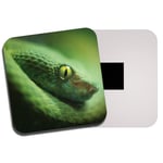 Green Snake Fridge Magnet - Serpent Reptile Wild Jungle Eye Cool Fun Gift #8838