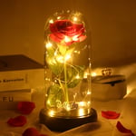 Beauty and The Beast Rose Gifts, Red Silk Rose Glass Dome with LED Light, Forever Rose Gift for Women, Enchanted Red Flowers, Valentine's Day