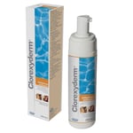 Clorexyderm Foam - Nestemäinen liuos Hiusten/ihonhoitoalueet - 200 ml