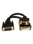 DVI-I to DVI-D and HD15 VGA Wyse DVI Splitter Cable - DVI splitter - 20.32 cm