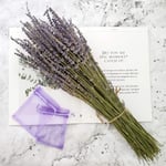 Dried Lavender Bundles Total 200 Stems Fresh Natural Lavender Flowers for Diy Wedding Home Decor