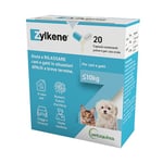 Arôme de lait zylkène, 20 capsules pour chiens, 75 mg vétérinaire